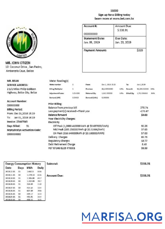 Downloadable Belize Electricity Limited electricity utility bill template in Word and PDF format